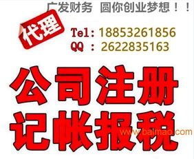小公司代理記賬 選擇、服務廠家與價格解析